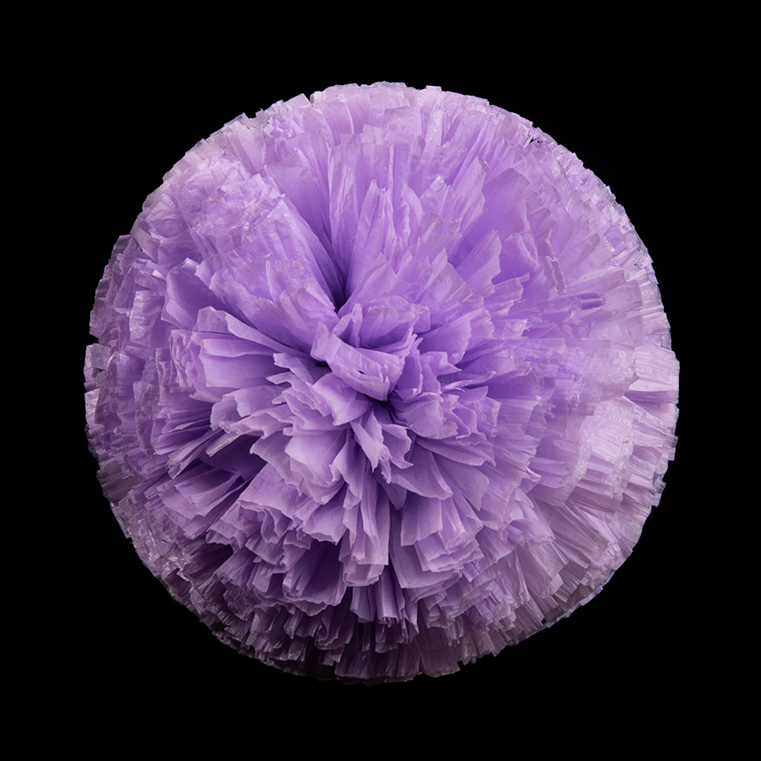Lilac (10)